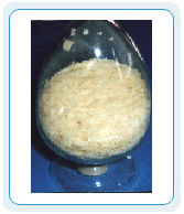 中國科學院上海有機化學研究所