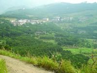 鳳翥村[雲南省昭通市鎮雄縣羅坎鎮鳳翥村]