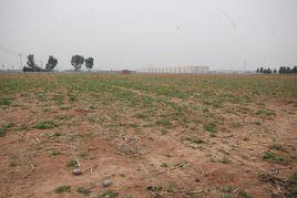 場地出租 場地出租