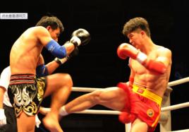 散打連擊技法 散打連擊技法