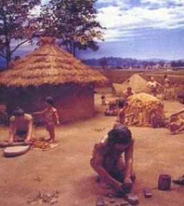 維特斯佐洛人 維特斯佐洛人