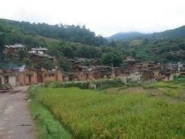 大麥塘村 大麥塘村