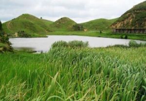 仰天湖草原風景旅遊區