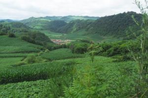 仙人橋鹿場 仙人橋鹿場