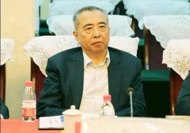 蘇斌[華國鋒之子]