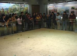 北京王府井古人類文化遺址博物館