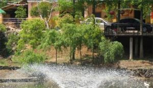 吉祥農莊 吉祥農莊