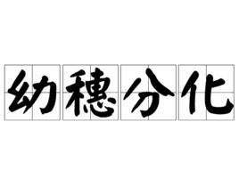 幼穗分化 幼穗分化