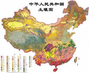 中國土壤地理