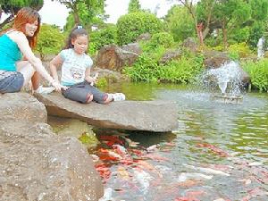 味全埔心牧場的園區介紹