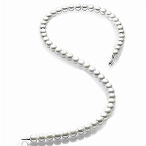 珍珠項鍊[項鍊的一種]