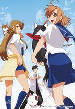 貓戀[AIC製作動畫]