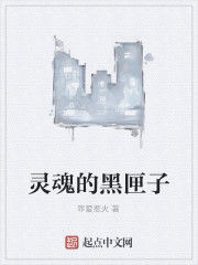 靈魂的黑匣子 靈魂的黑匣子