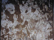 （圖）惠陵[唐]