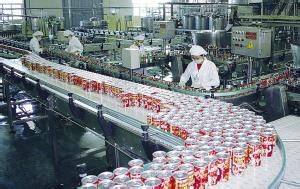 八寶粥生產線 八寶粥生產線