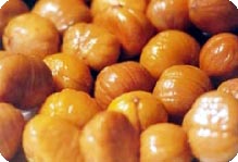 天師板栗 天師板栗