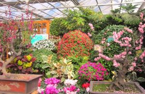 世界花卉大觀園