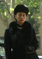 桃花運[2008年馬儷文執導電影]