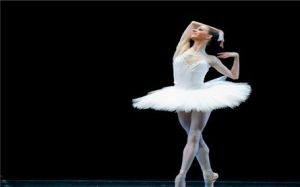 舞尚部落 舞尚部落