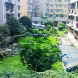 外化成街10號 外化成街10號