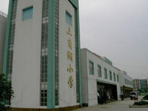 武漢經濟技術開發區三角湖國小 武漢經濟技術開發區三角湖國小