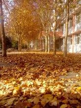 石家莊市第二十二中學