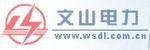 雲南文山電力股份有限公司 雲南文山電力股份有限公司