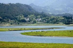 山東鄒城太平國家濕地公園 山東鄒城太平國家濕地公園
