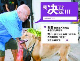 我決了個定 我決了個定