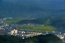 官莊[河南省駐馬店市泌陽縣官莊鎮]