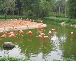 興隆熱帶動物園