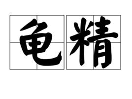 龜精 龜精