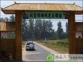 北京綠苑觀光採摘園
