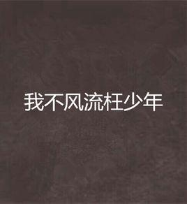 我不風流枉少年 我不風流枉少年