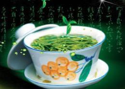 桑芽茶[桑芽茶]