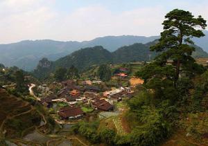 廣西元寶山國家級自然保護區 廣西元寶山國家級自然保護區