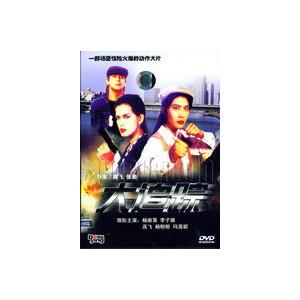 大追蹤[1995年高飛、張馳執導電影]