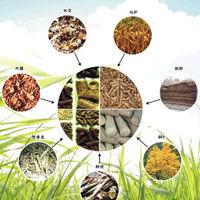 玉米桿生物顆粒