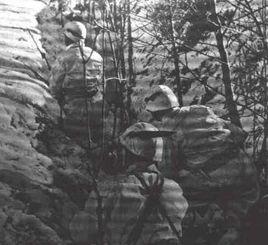 義大利俄羅斯遠征軍 義大利俄羅斯遠征軍