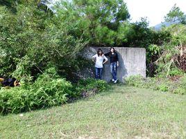 雨落塵煙 雨落塵煙