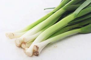 韭蔥 韭蔥