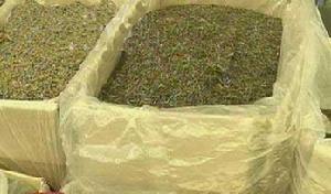 （圖）美術綠讓陳茶“變”新茶