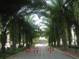 景谷縣第一中學 景谷縣第一中學