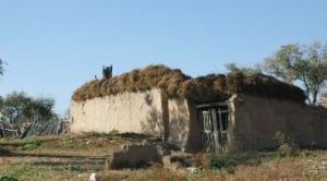 邵窯文化遺址 邵窯文化遺址