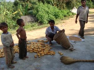 新翁板村 新翁板村