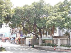 張家邊村圖片集