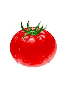 西紅柿危機 西紅柿危機