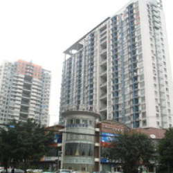 華爾茲廣場 華爾茲廣場