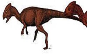 平頭龍超科 平頭龍超科