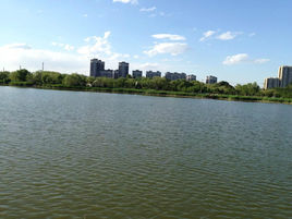 雙台子區 雙台子區